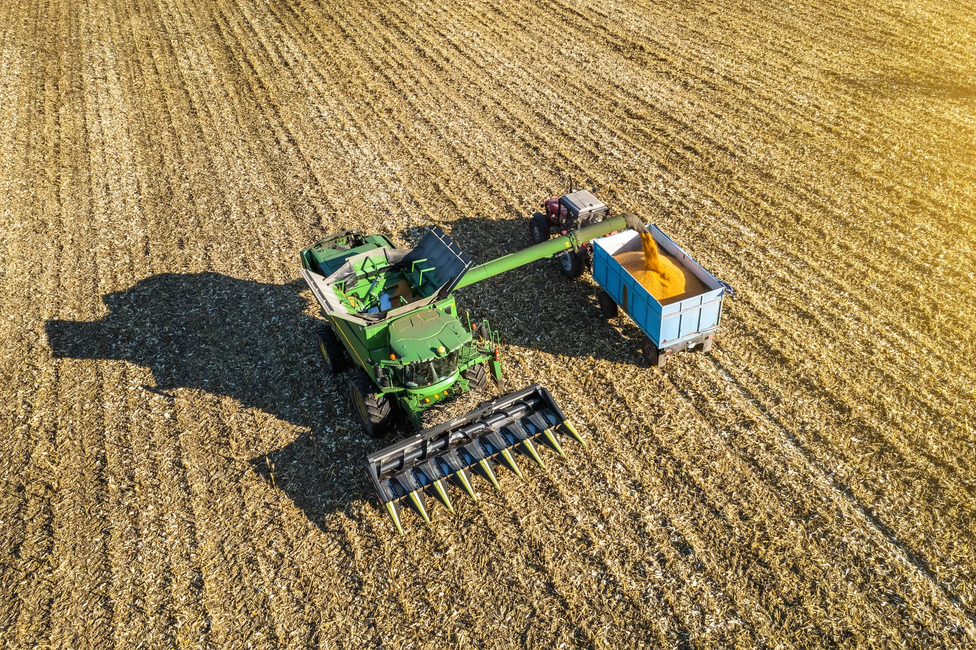 Combine harvester unloading corn during a Canadian agricultural harvest